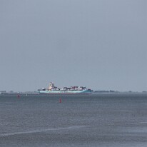 IMG_0694
