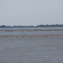 IMG_0704