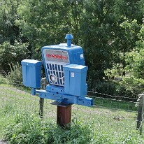 IMG_0711