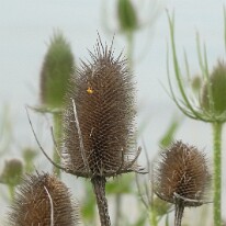 P1070194