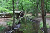 IMG_5548