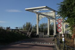 IMG_3873